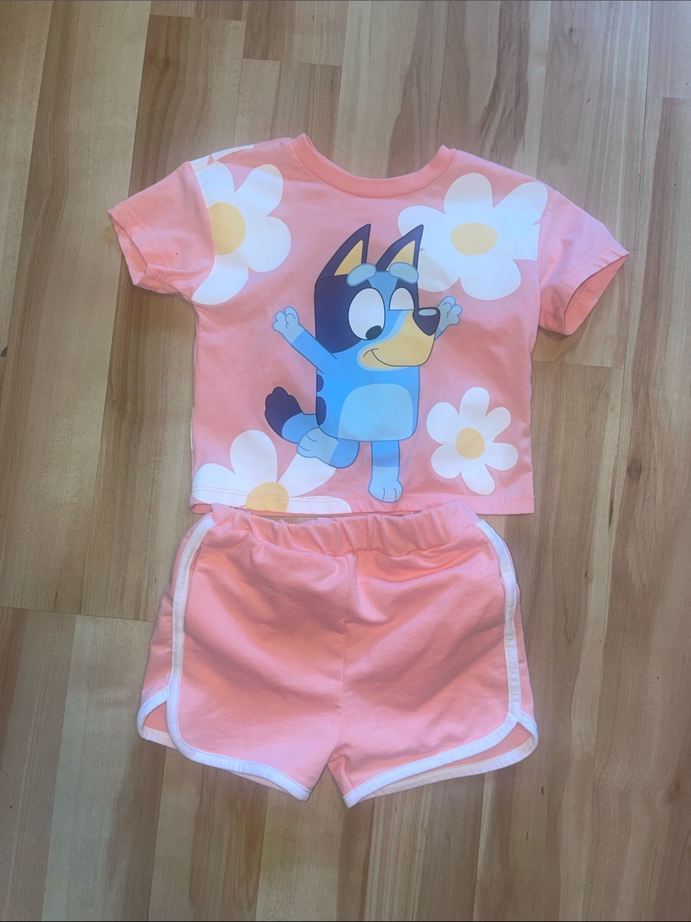 Bluey T-shirt and Shorts Set size 3T